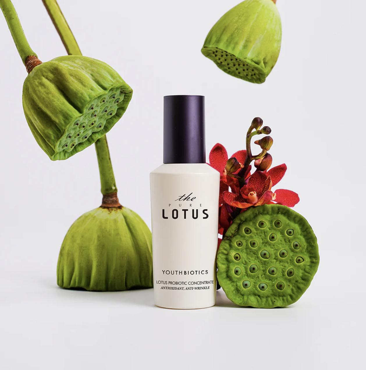 The Pure Lotus - Youth Biotics Lotus Probiotic Concentrate Serum