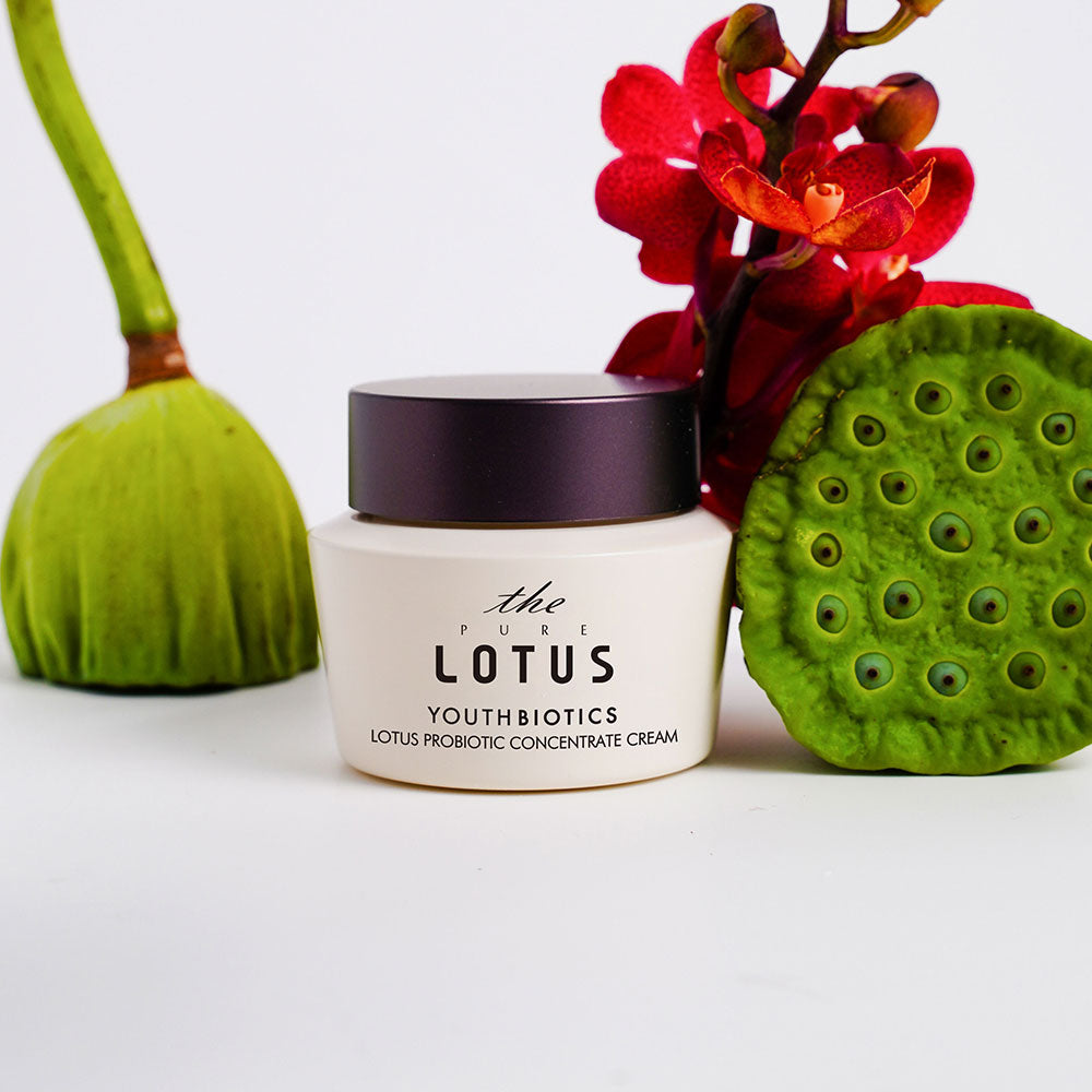 The Pure Lotus - Youth Biotics Lotus Probiotic Concentrate Cream