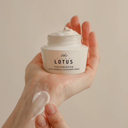 The Pure Lotus - Youth Biotics Lotus Probiotic Concentrate Cream